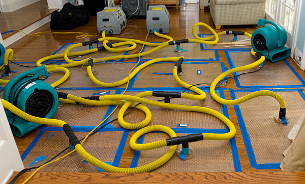 Professional Emergency Water Removal technician working in Glenville, MN